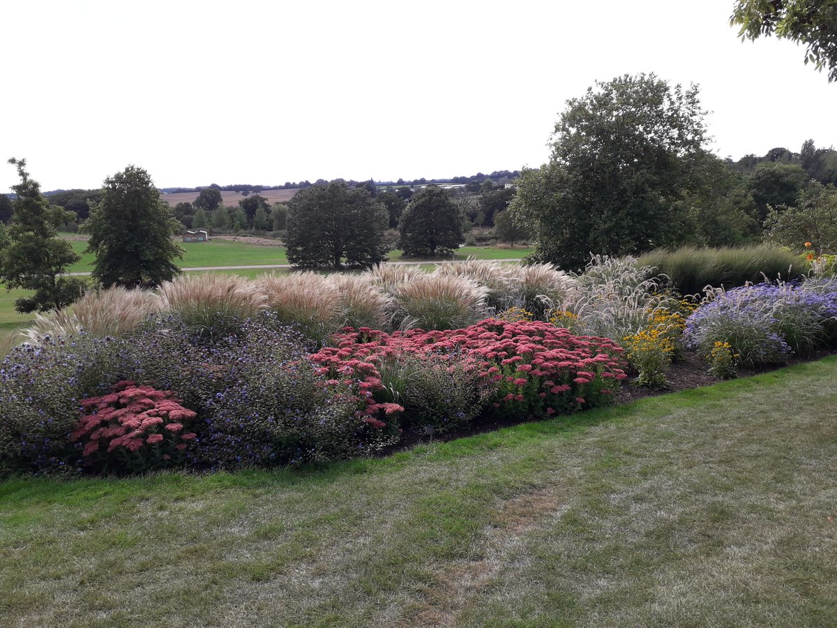gardenoracle's tweet image. A lovely afternoon yesterday at Hyde Hall autumn plant fair followed by a walk around the garden. It looked stunning in the sunshine.@RHSHydeHall