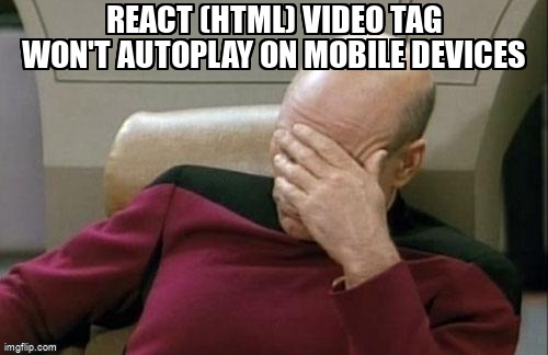 overflow_meme's tweet image. React (HTML) video tag won't autoplay on mobile devices stackoverflow.com/questions/5940… #reactjs #html #html5video