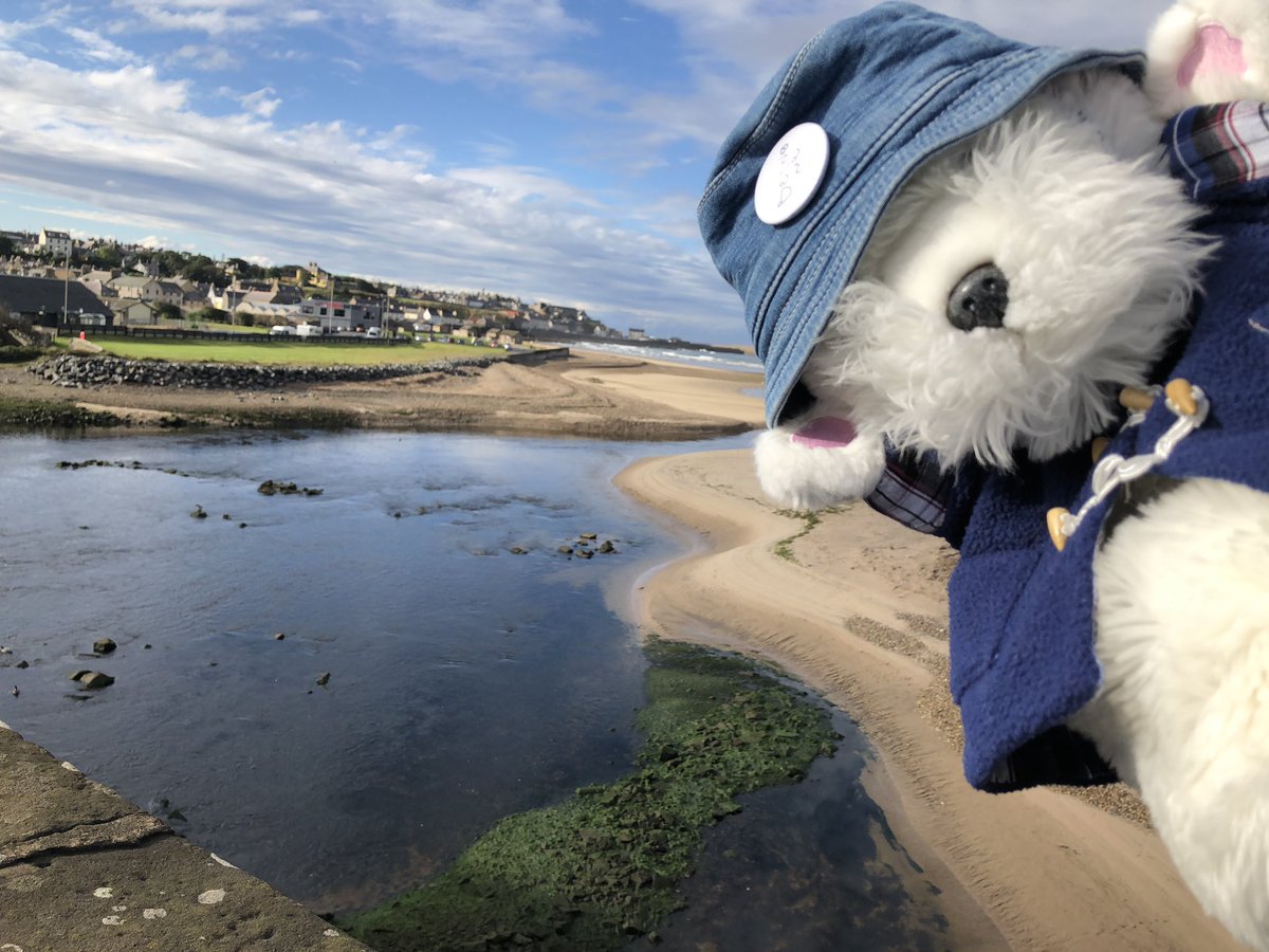 Dug has arrived at Banff! Very excited to join the children at Banff Primary school tomorrow. <a href="/BeingMeWithDug/">Dug 🐾</a> #beingme #earlyyears #teamBanff