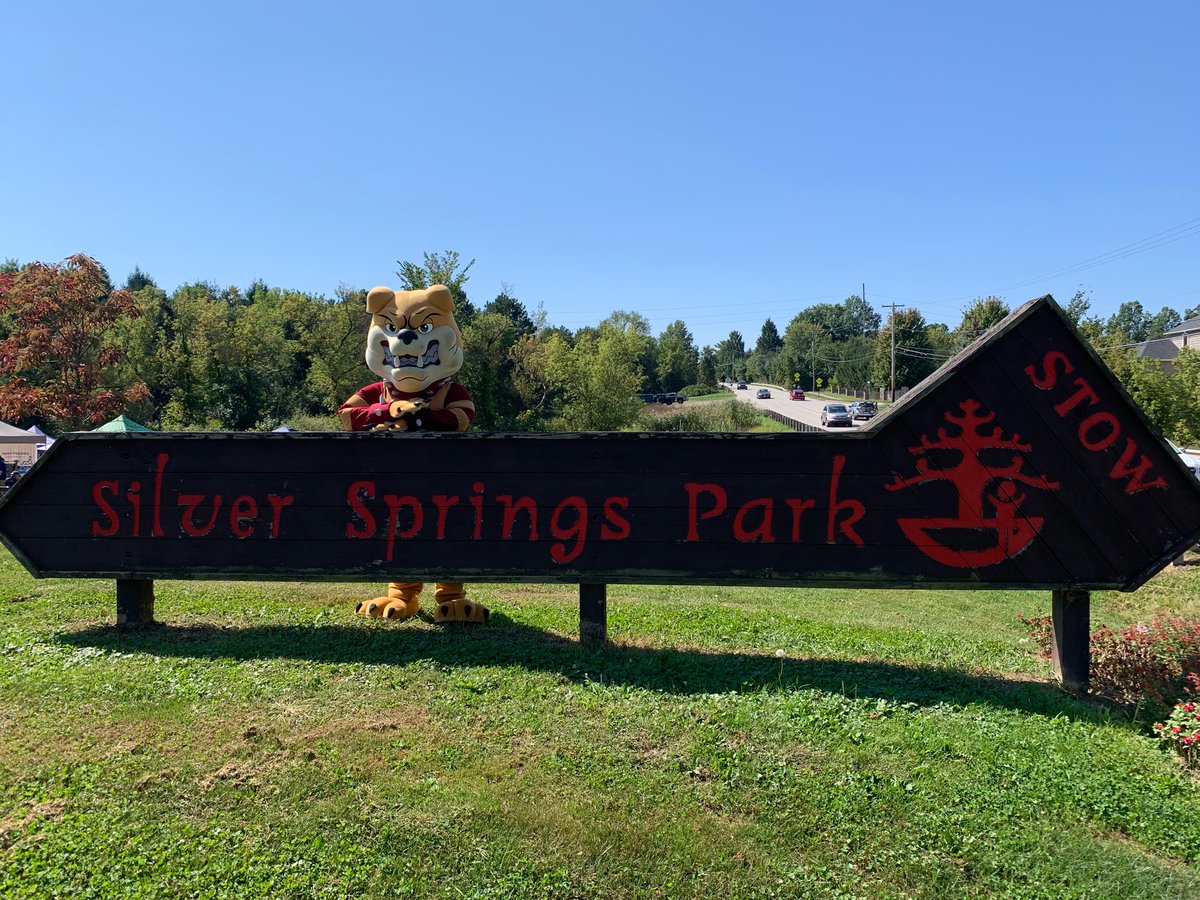 Had the best time at Paw Fest