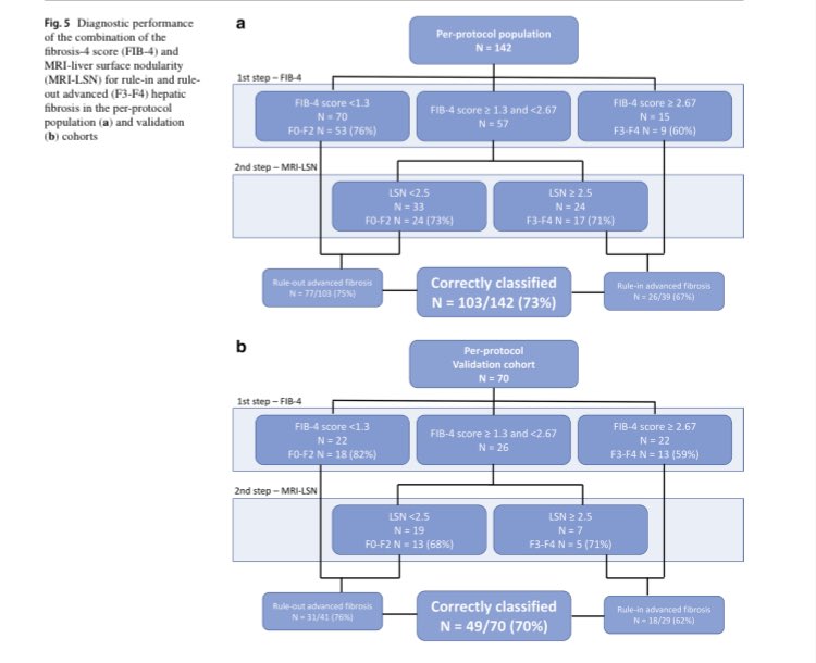 So your patient’s liver surface is nodular. Do they have #cirrhosis? they often don’t! 1️⃣many people with nodularity do NOT have F3/F4 2️⃣true even for people with lots of nodularity This study used MRI and software to 📏nodularity doi.org/10.1007/s00330… #LiverTwitter