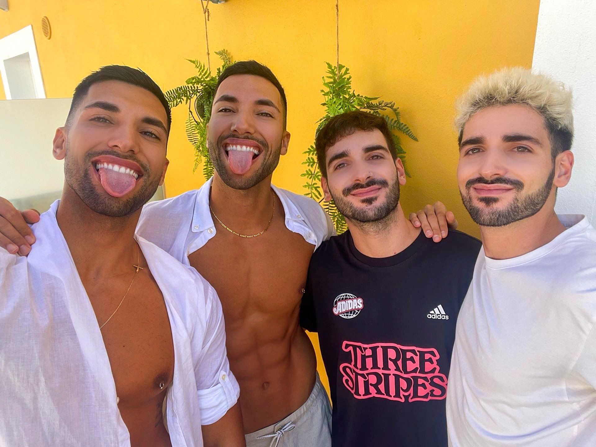 TW Pornstars 2 pic. Twinfitness. Twitter. Finally we are together