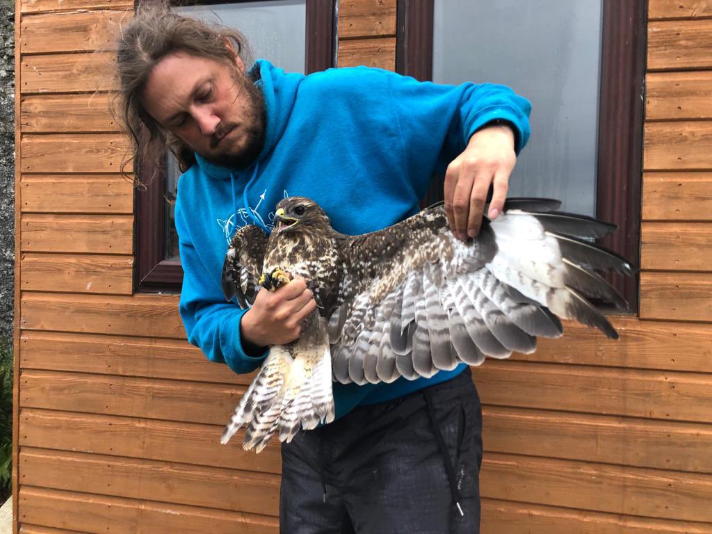 Ollie Padget tweet media