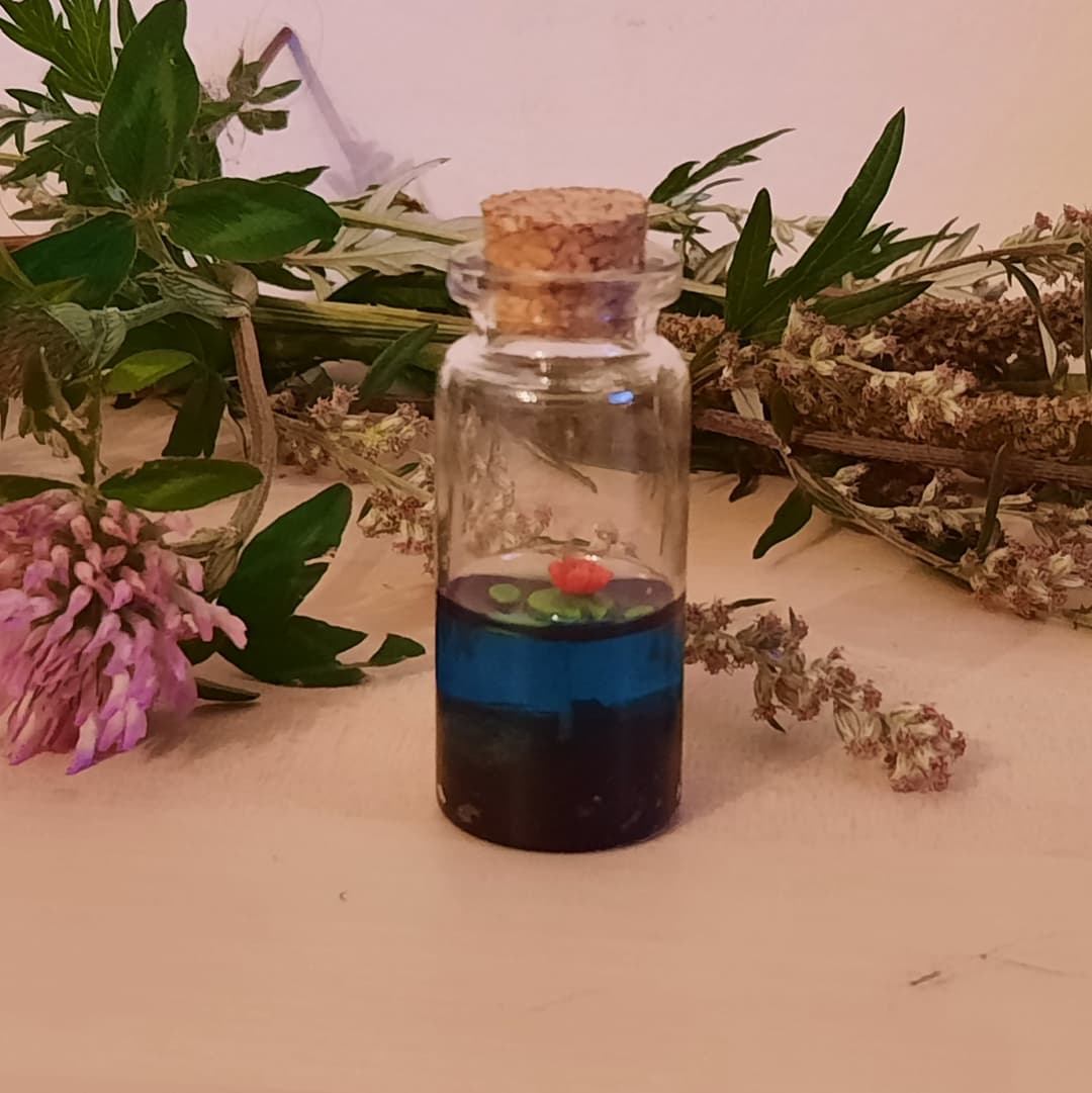 KhaleesDen's tweet photo. World In A Bottle: Lily of the Pond

Almost the end of this collection!
Made with resin, small rocks from Corsica (!), and polymer clay. 

#madeinfrance #handmade #faitmain #pond #waterlily #smallbusiness #resineepoxy #resin #polymerclay #patepolymere #miniature #nature #bottle https://t.co/31nvomeNVL