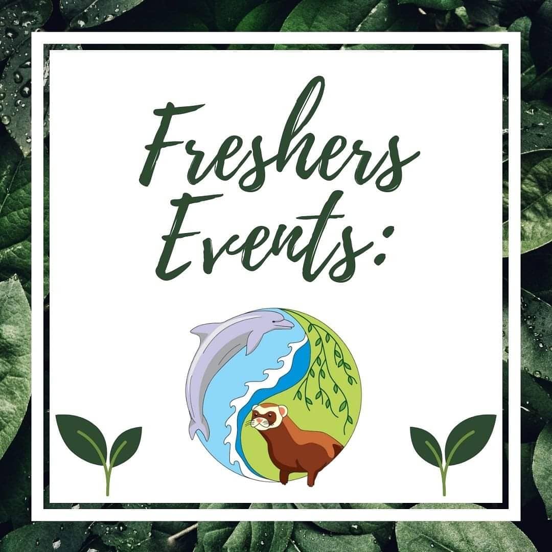 su_conservation's tweet photo. ⚠️Important⚠️
Fresher's is finally upon us! Here's what what we haved planned over the next week or so. We're having a chill meet n greet tomorrow at Pub on the Pond  between 6pm-8pm. Feel free to come, even if you don't have a membership yet!
Can't wait to meet you guys! 🙌🌱♻️ https://t.co/aBGTljmtZ8