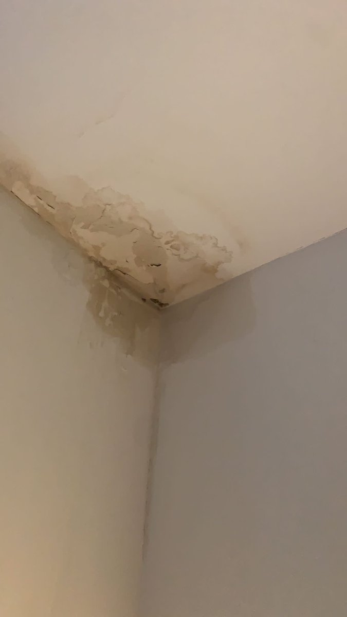 Really <a href="/Redrow/">Redrow</a> ?! This is after being “fixed” three times. How is this ok? #notok #leaks #newbuildhome <a href="/Redrowplc/">Redrow plc</a> <a href="/RedrowRipOff/">Ripped Off By Redrow</a> <a href="/NewHomesLaw/">New Homes Law</a>