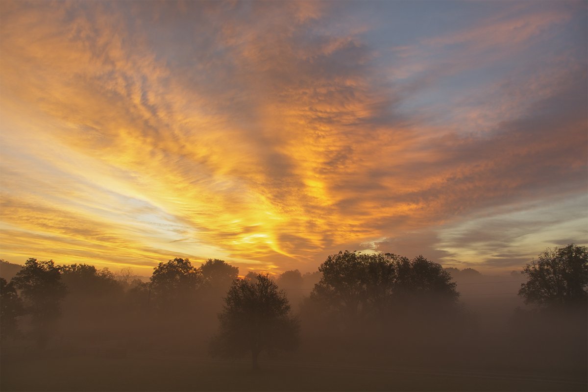 Best #sunrise  of 2021 this morning <a href="/ajsg/">AJSG🙏🏾❤WxPhotoArtLady♉🎨</a> <a href="/AdamBurnistonWX/">Adam Burniston WLWT</a> <a href="/allyblakewx/">Ally Blake</a> <a href="/Kentuckyweather/">Chris Bailey</a> <a href="/JimWKYT/">Jim Caldwell ⛈️</a> <a href="/JAclouds/">Ja</a> <a href="/thekyniche/">Johnnie Nicholson</a> @FreiburgerJungs <a href="/cloudymamma/">Cloudymamma</a> <a href="/luketaplin42/">Luke</a> <a href="/MarcWeinbergWX/">Marc Weinberg</a> #outdoor <a href="/StormHour/">#StormHour</a> <a href="/BluegrassScenes/">Scenes of the Bluegrass</a>