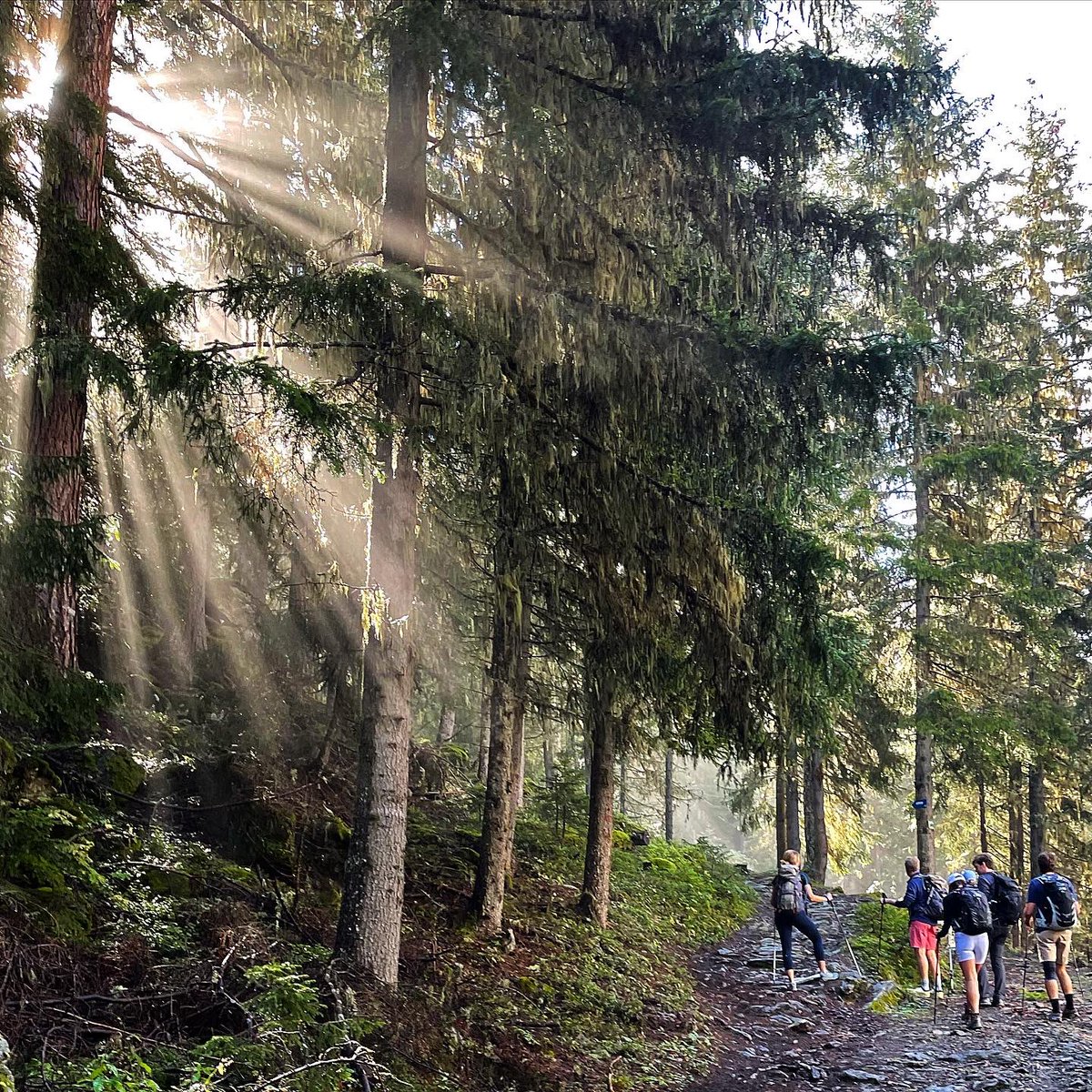 skignome's tweet photo. Summer hiking season in the Alps ces’t fine! #alldone Looking forward to seeing you back this spring @valdisere #letsski @RyderWalker https://t.co/axBJE73DKi