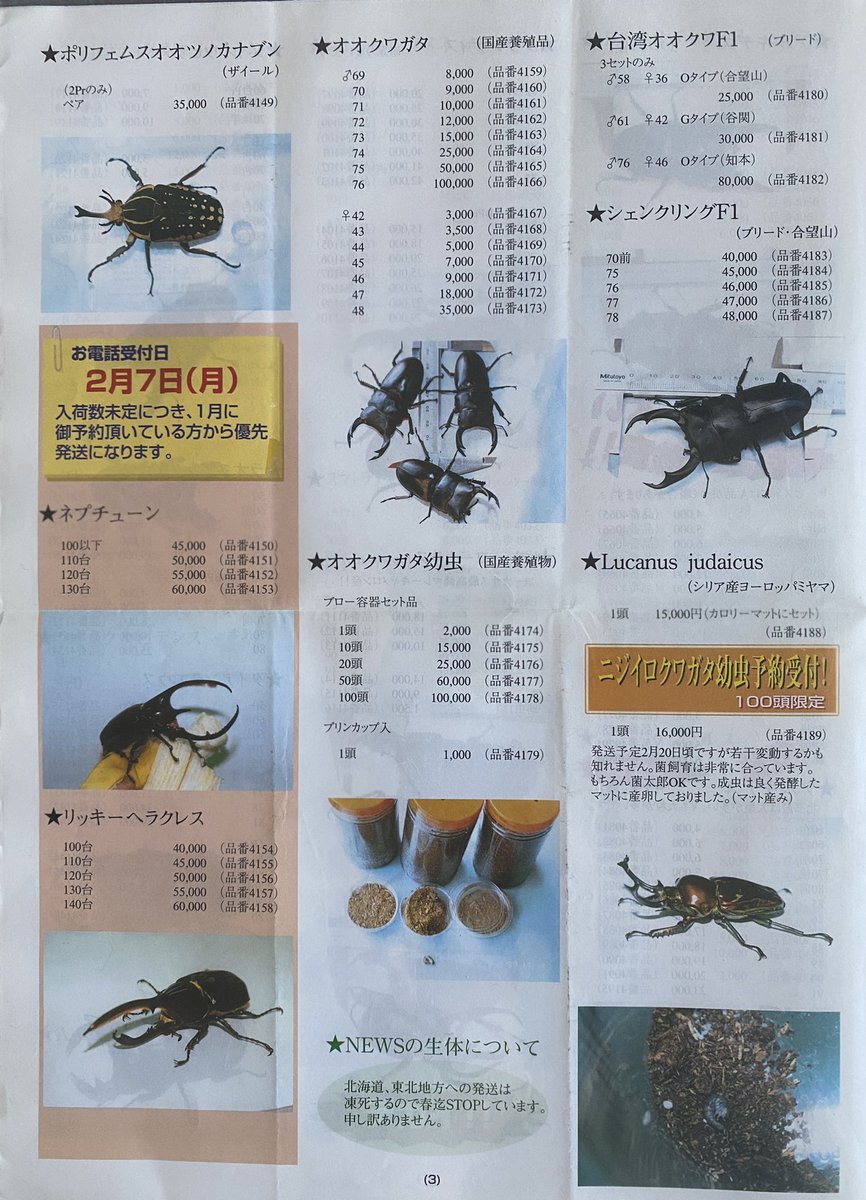 標本の作り方 標本の作り方