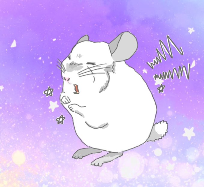 チンチラのtwitterイラスト検索結果