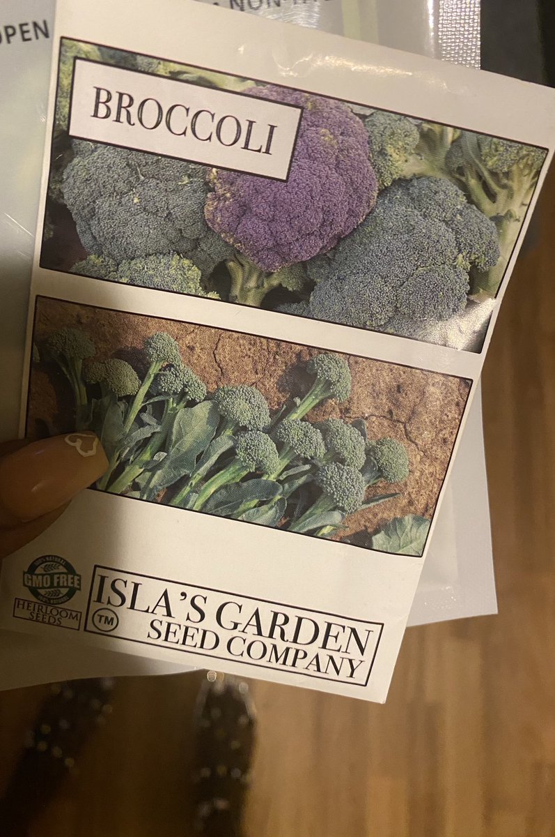 LoveAuset's tweet photo. I found some purple broccoli…my Sunday has been made 🖤 #LOVE  #PurpleBroccoli https://t.co/hRBoI2FE6X