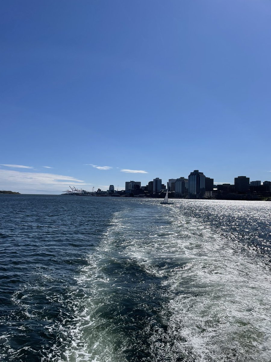 Art of City Building tweet media