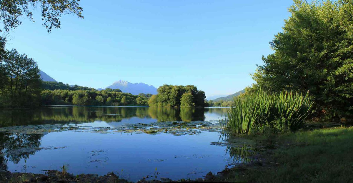 Journal du Bâtiment et des Travaux publics tweet media