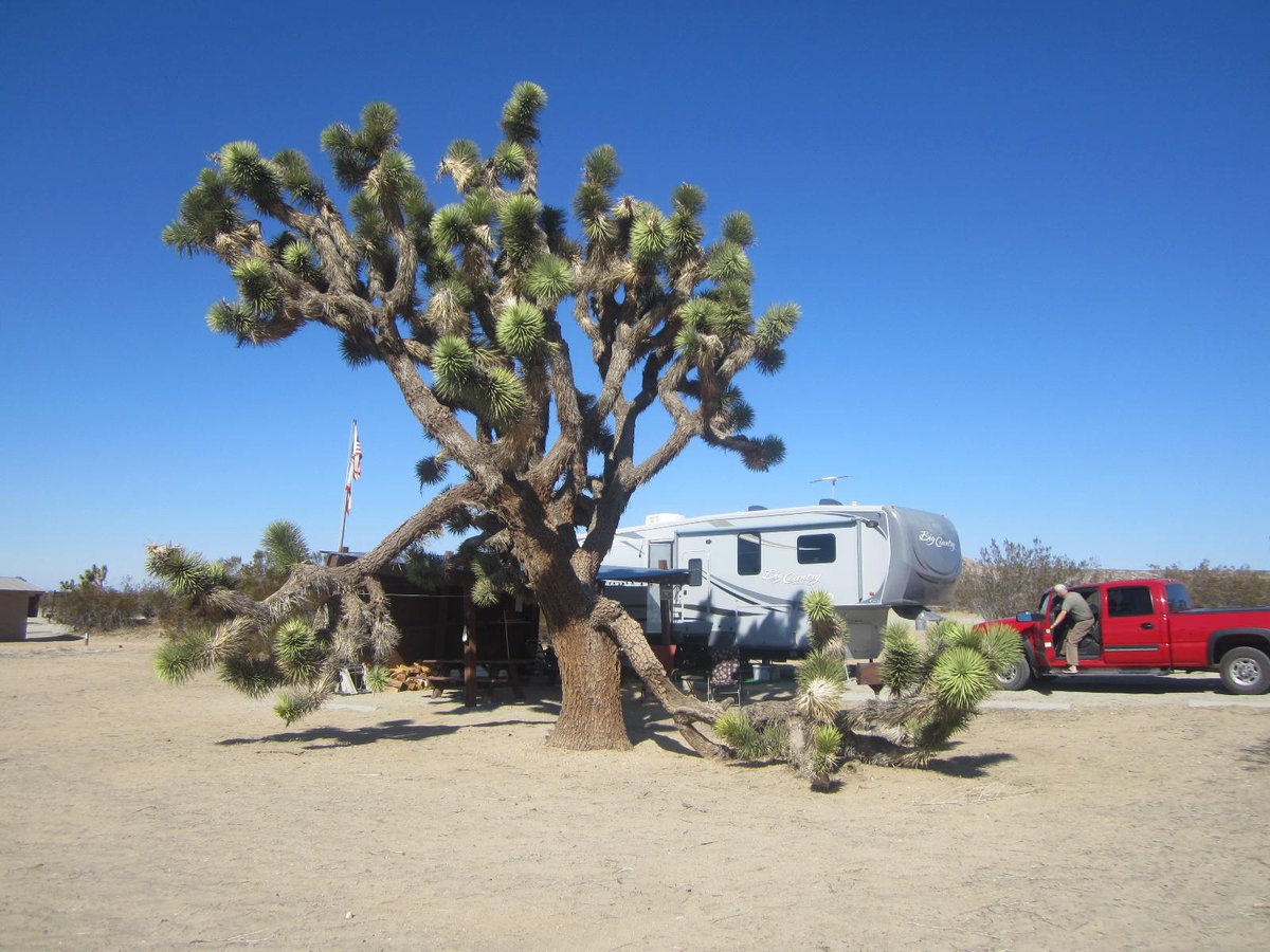 SaddlebackButte tweet media