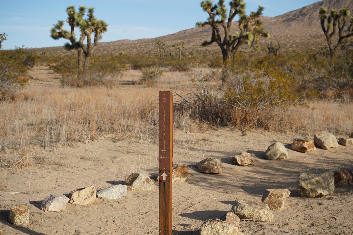 SaddlebackButte tweet media