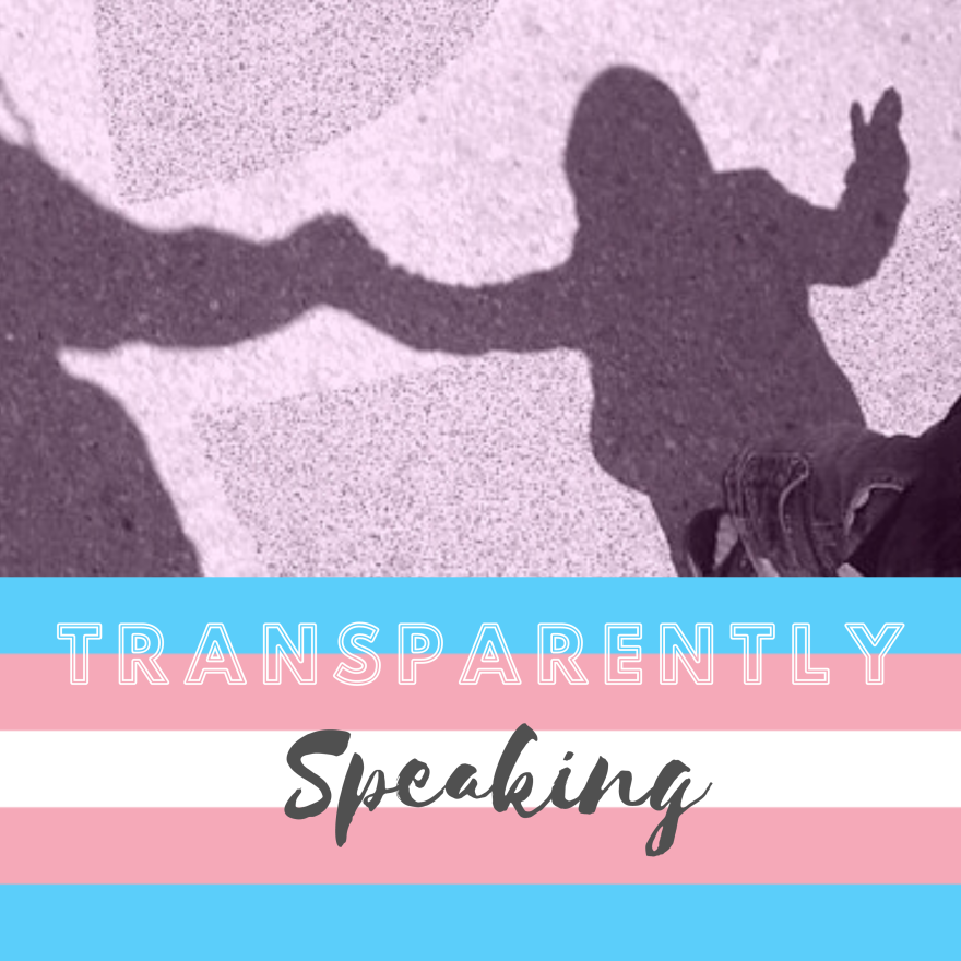 [ID: white and black stylized text reads, "transparently speaking." Text is on top of a trans pride flag graphic.]