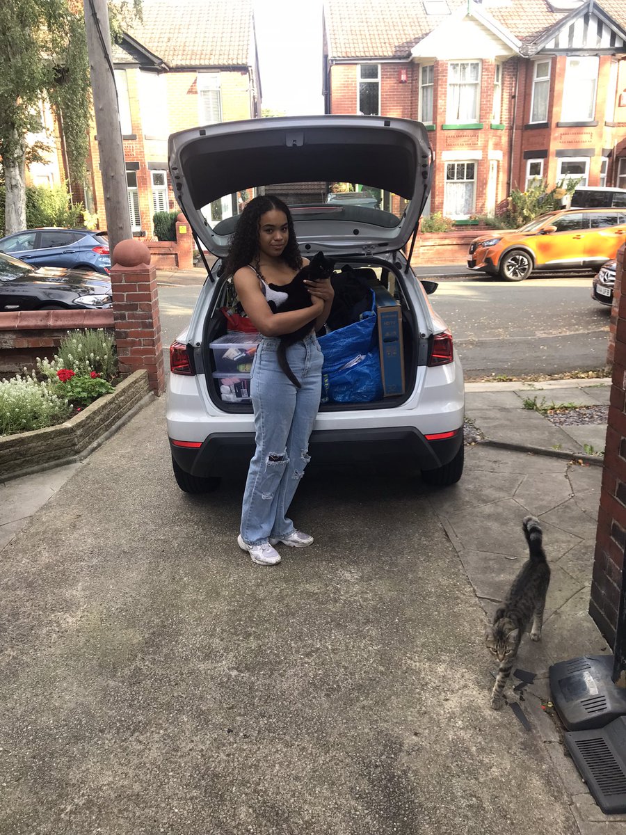 novelette thomas tweet media