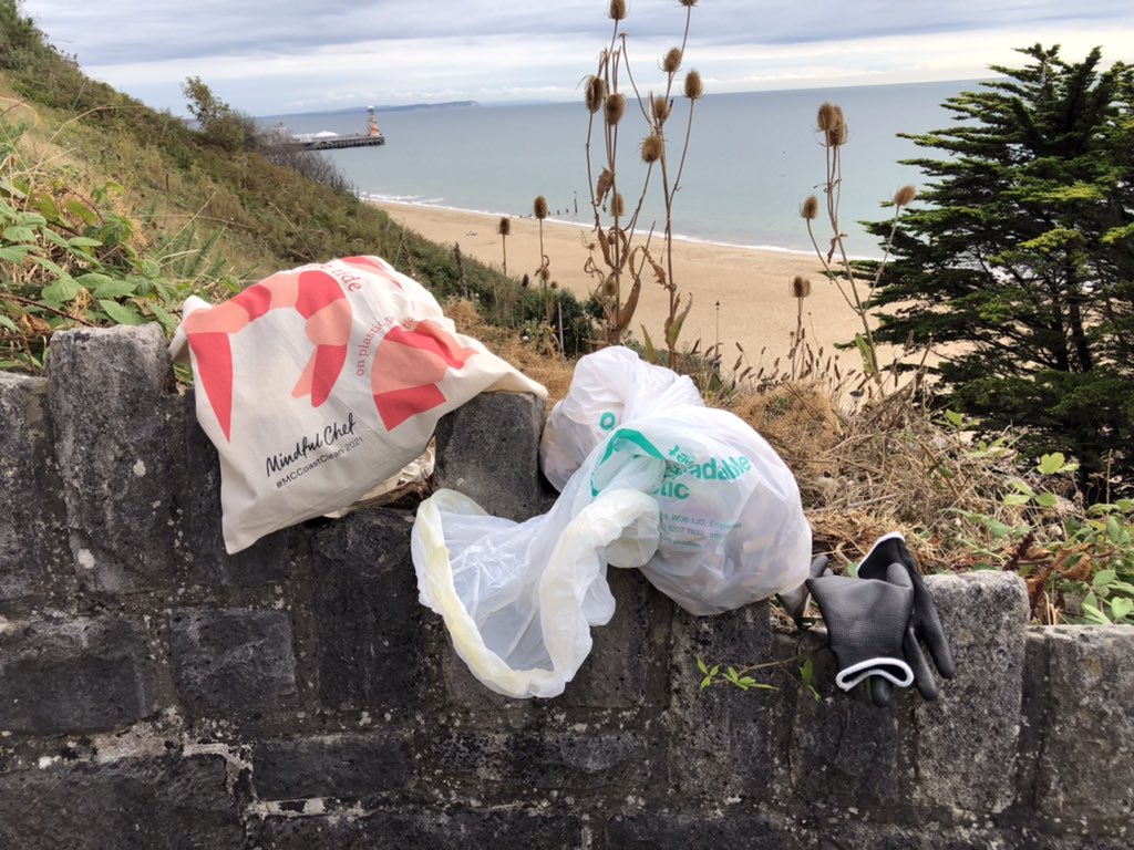 Thanks to #salesforce and #mindfulchef, I was able to participate in #mcsukorg #GreatBritishBeachClean at Bournemouth Beach. I collected all kinds of plastics from food and candy packaging to cigarette-related waste. #volunteeringrocks