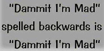 greggrunberg's tweet image. 