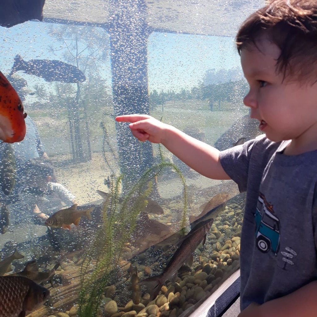 FishGuyJosh's tweet photo. Really excited little man got to come and finally see what pops got the pleasure to do for 11 years. The #mobilefishexhibit was on point and looking sharp. 

#fish #fishing #fishyscience #aquariumeducation #aquariumlife #aquariumscience #aquariumonwheels… https://t.co/hK3TmuWUKH https://t.co/TDCCOi8KD9
