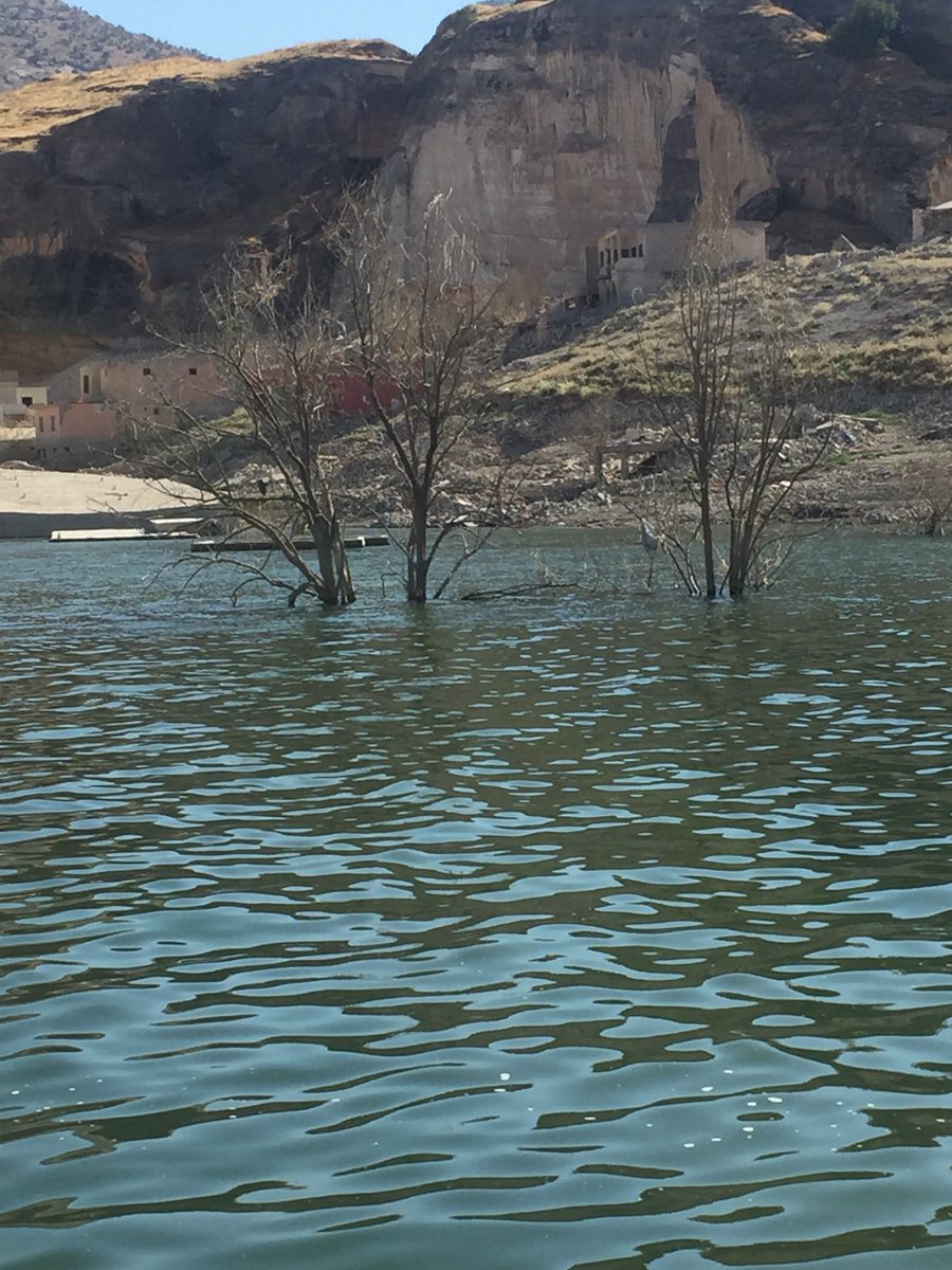 Sizce bu fotoğraftan ne anlam çıkarmalıyız 😢😢