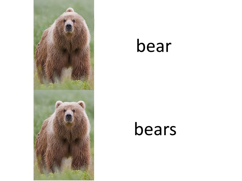 To bear перевод. Could bear it. Белый медведь. Lim heng swee cats. Could bear it.