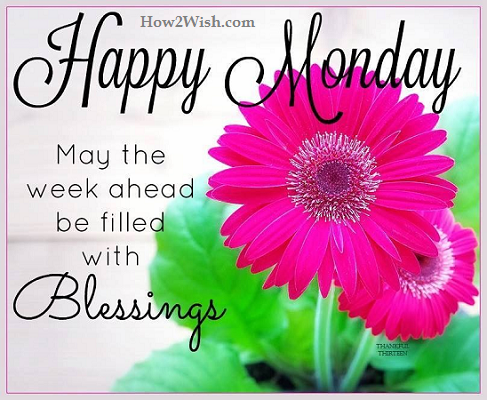 ranigill7's tweet photo. #happynewweekfriends https://t.co/hDGnunuL6g