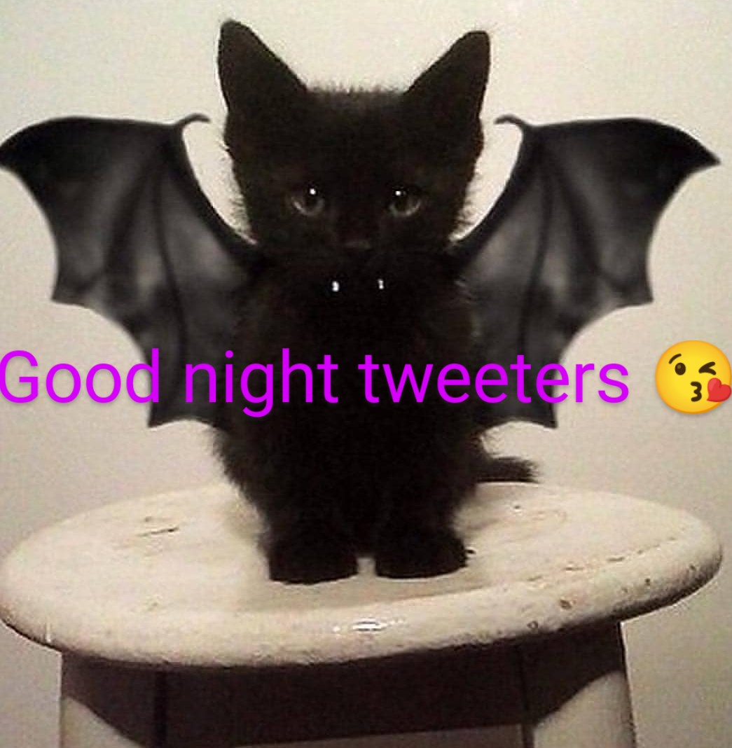 Simon Cheshire (@simoncheshire2) on Twitter photo 
