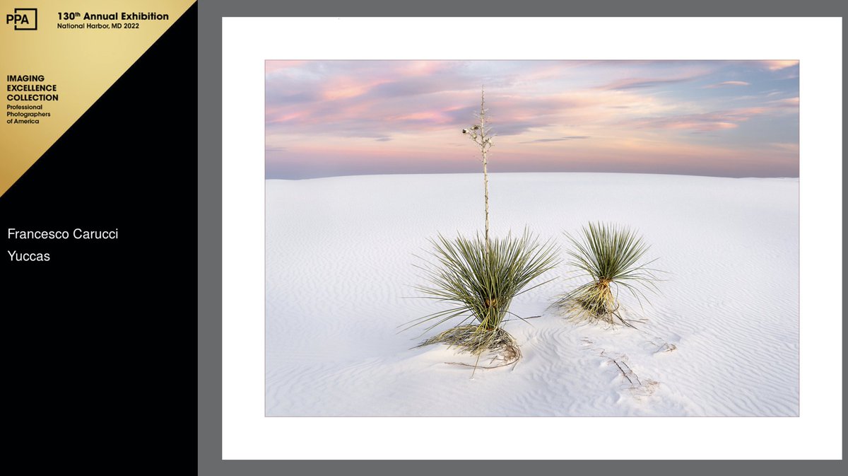 Francesco Carucci (@fcarucci) on Twitter photo Check out results of the International Photographic Competition 2021.
Got an Imaging Excellence Award.
carucci.photography/blogs/blog/int…
#ks #photography #landscapephotography #fineart <a href="/OurPPA/">Professional Photographers of America (PPA)</a> Check out results of the International Photographic Competition 2021.
Got an Imaging Excellence Award.
carucci.photography/blogs/blog/int…
#ks #photography #landscapephotography #fineart <a href="/OurPPA/">Professional Photographers of America (PPA)</a>