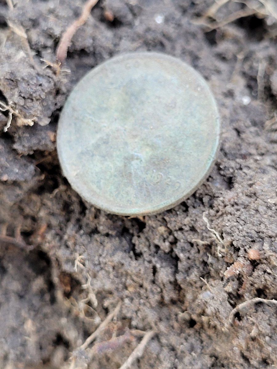 After months of never finding the time to swing the detector, I finally got the chance. 
My parents recently moved, and although this house isn't as old as their last house, I gave it a go. 
My only coin find of the day was a 1929 wheat. 
#Saturdaynightcoinshow #metaldetecting