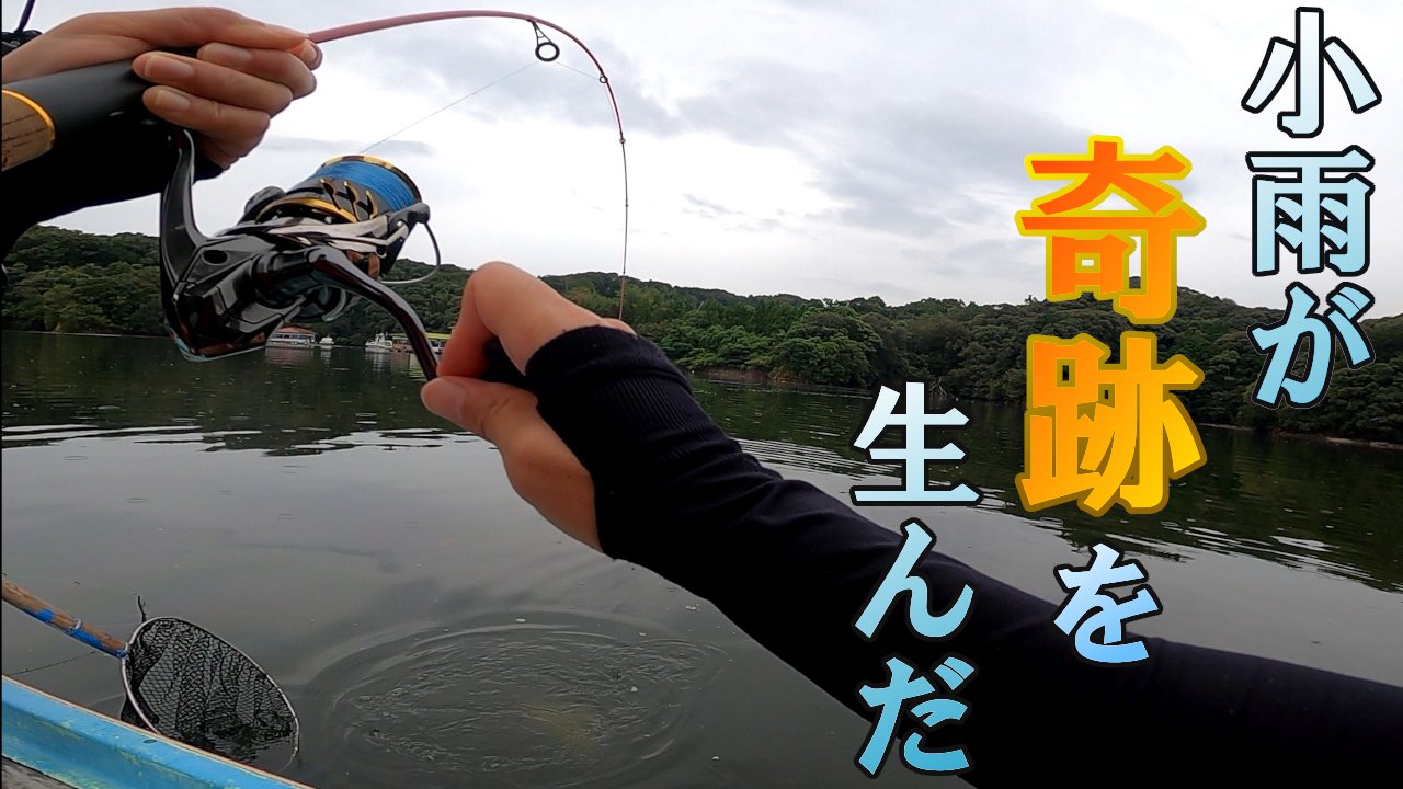 黒鯛釣り Twitter Search Twitter