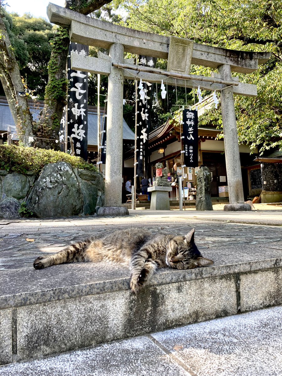 王子神社 口コミ 評判 素敵な旅行 観光スポット情報がきっと見つかる ナウティスgo 2ページ目