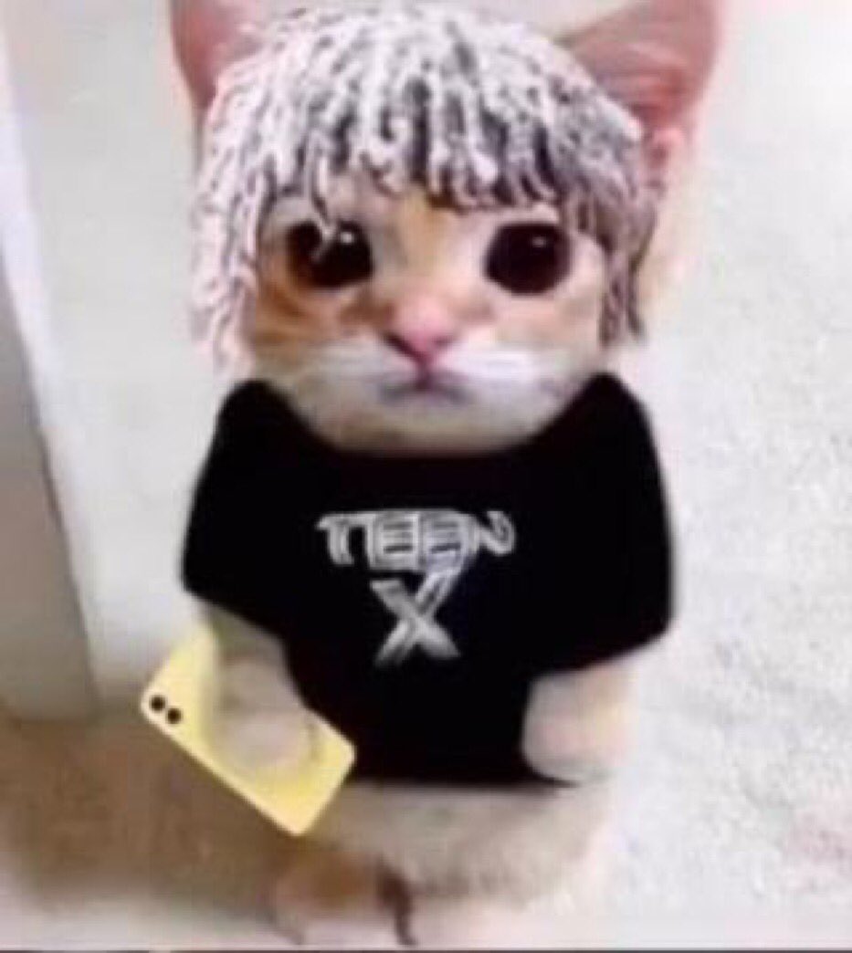 TEENXOO's tweet photo. @kiingthot its a joke bru🙄dont take it so serious https://t.co/guqrLKSGQc