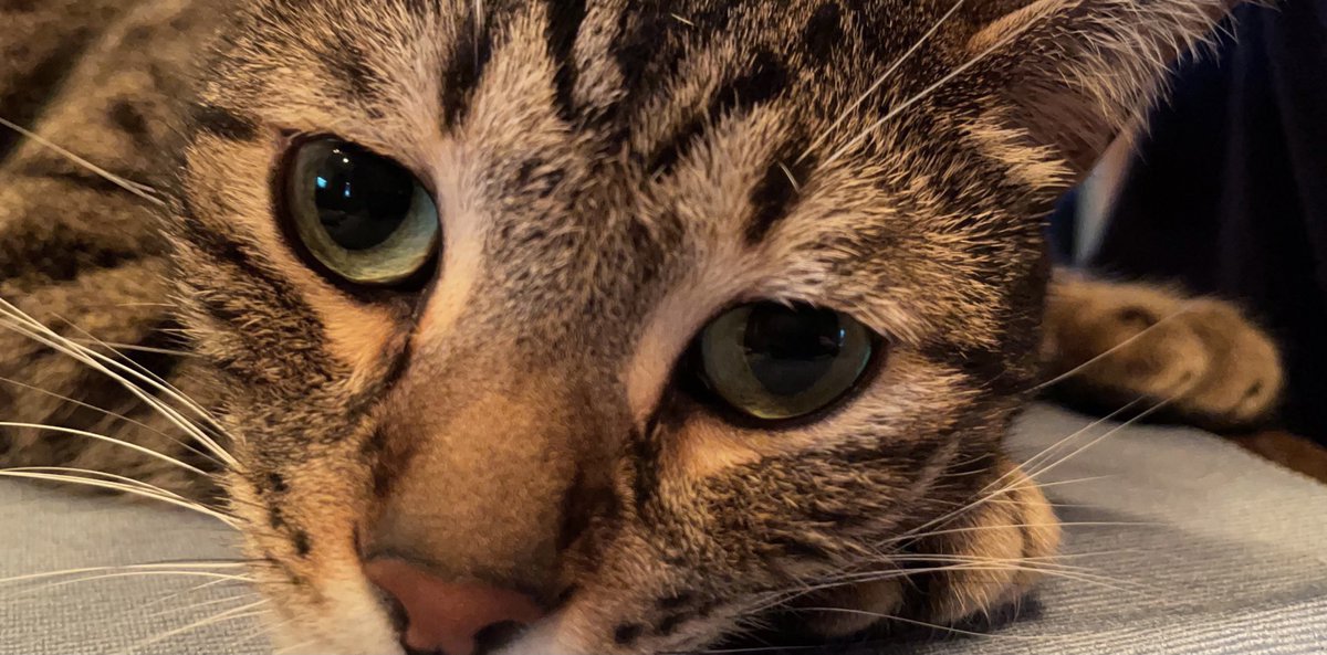 Content from naughtytilly