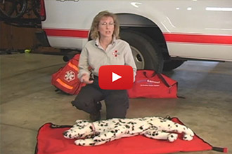 Do you know how to give your #dog CPR? - bit.ly/2ld9if2