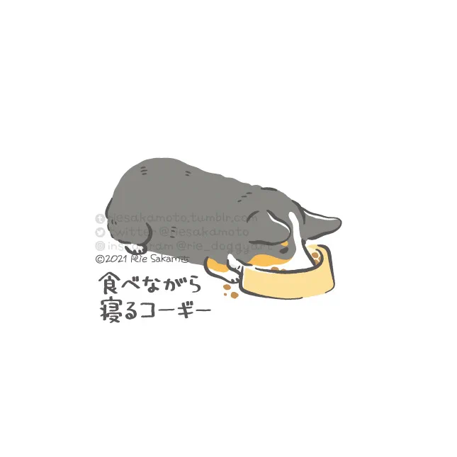 寝ているときのコーギーあるある/食べながら寝るコーギー(8/13) 