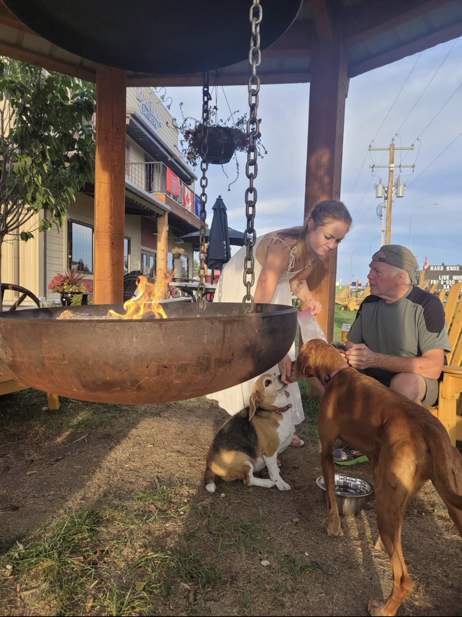 HardKnoxBrewery's tweet photo. People puppies and campfires, the best of all worlds :) #abbeer #ruralbrewery #countrified #beergardens #patiopups https://t.co/q2Z21l6tV1