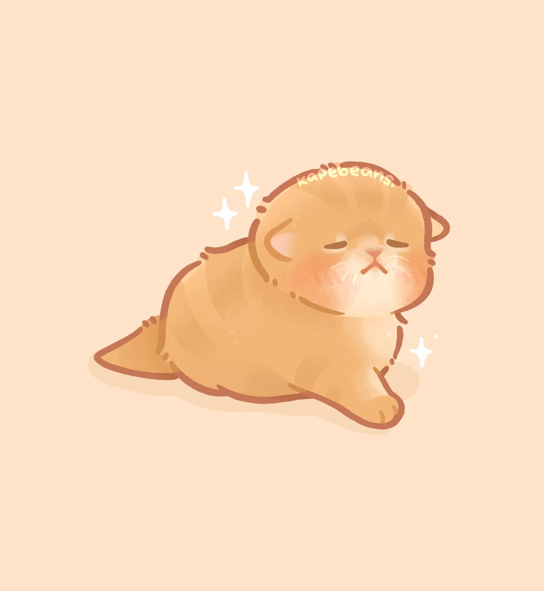 kapebeansies tweet picture