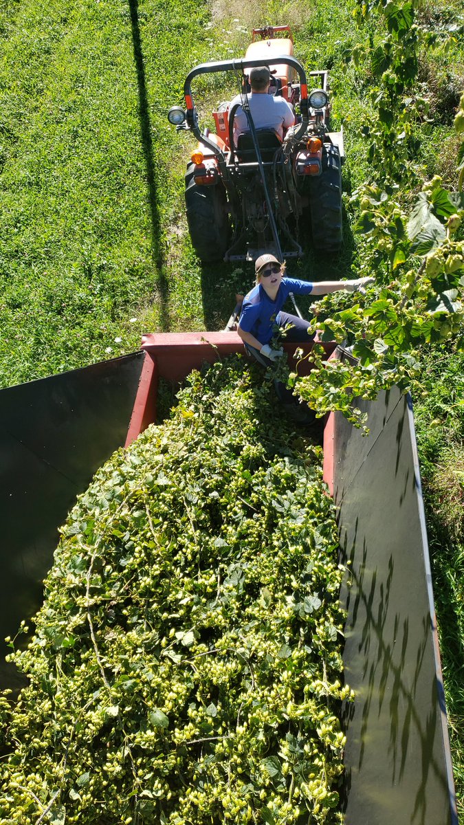 2021 harvest is in the books! #onhops #certifiedorganic