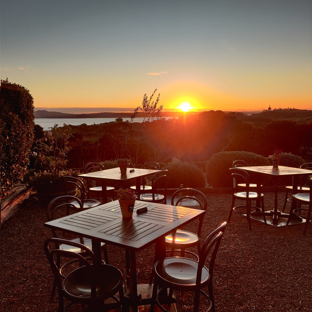 Take me back again please........

 🥰🤩

#waihekeisland
#NewZealand