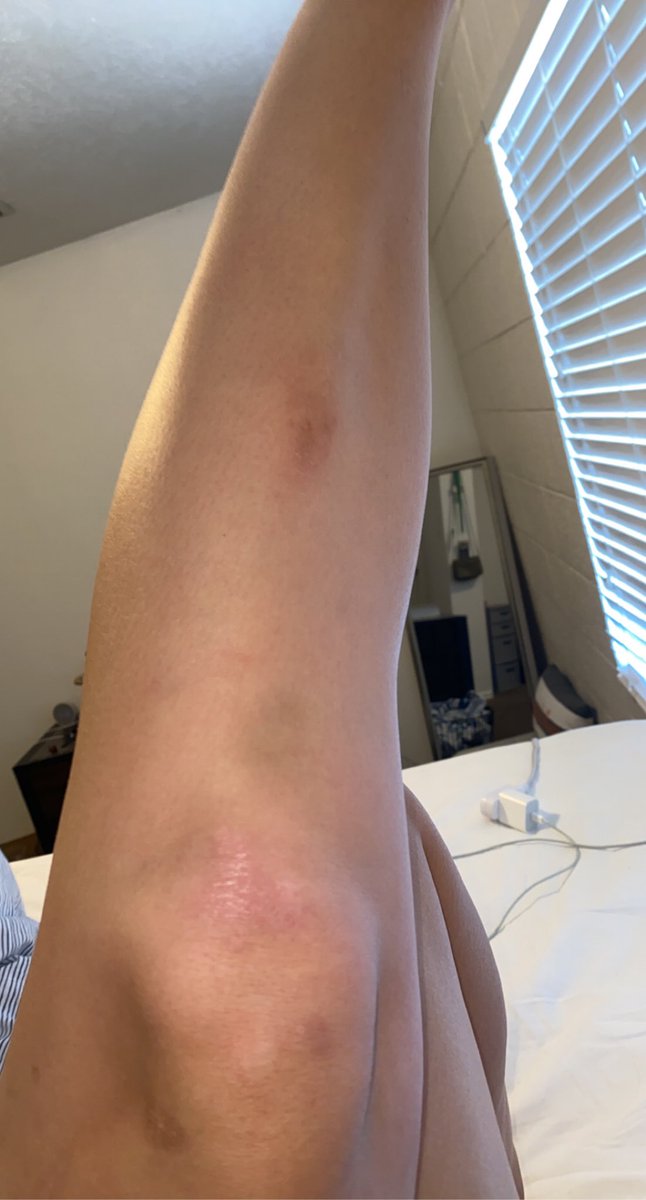 sarahthomas137's tweet photo. I fell in the virgin river today hbu https://t.co/1zGN4mvXqT