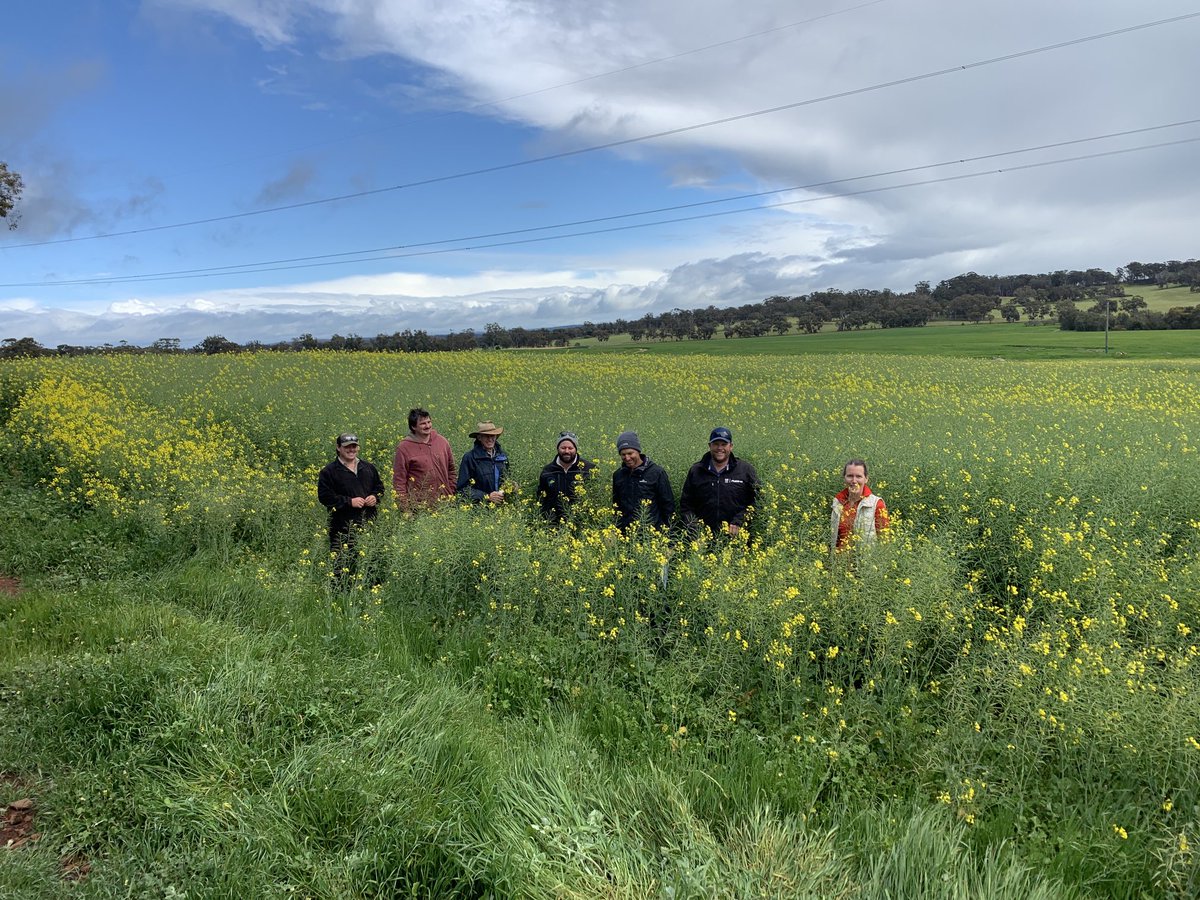 Great group great crops