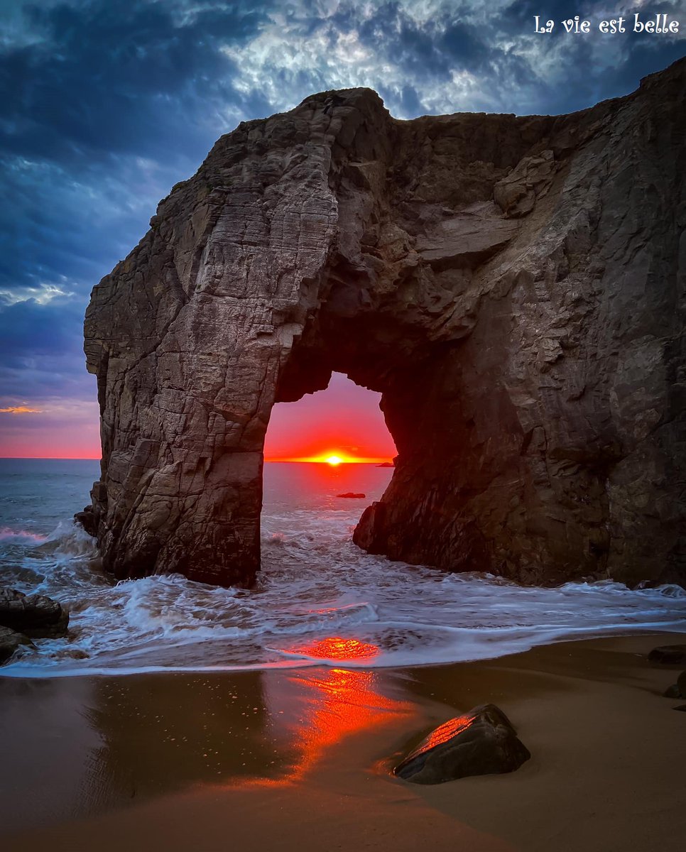 didier2410's tweet photo. Bonjour, bon lundi et bonne semaine
Good morning happy Monday and good week

#goodmorning #LifeisBeautiful https://t.co/LeN6ypW51R