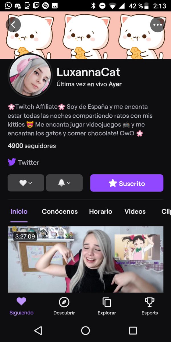 NotTaquitosCat tweet media