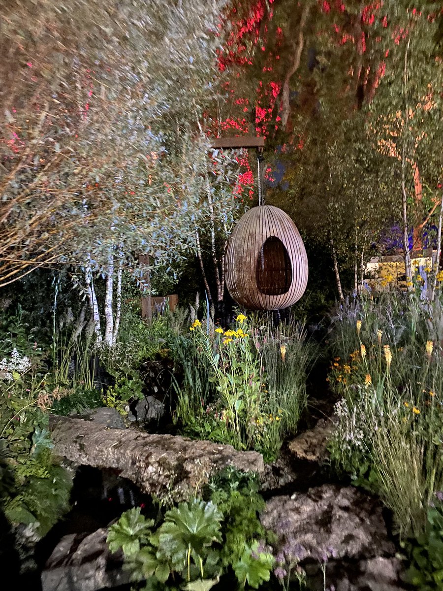 carolkirkwood's tweet photo. Good morning from @The_RHS #RHSChelsea This is the first time in its history that this show has been held in the autumn. Still absolutely stunning @BBCBargainHunt xxx https://t.co/KlRzKaeYmc