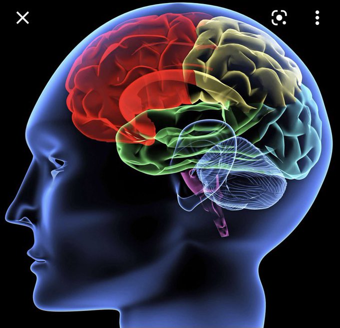 This is your brain&hellip; https://t.co/Rt3IRng4gL
