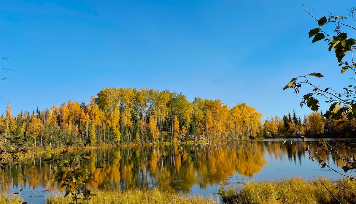 milesaway25's tweet photo. #reflection #reflectionlake https://t.co/4tjYj5oa8q