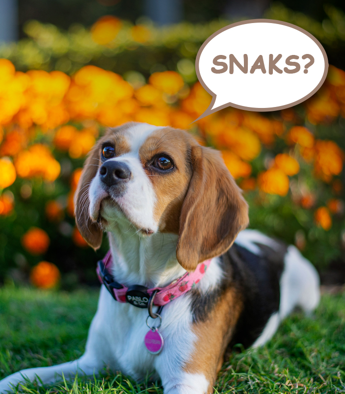 Dan Vogt ✨ tweet media