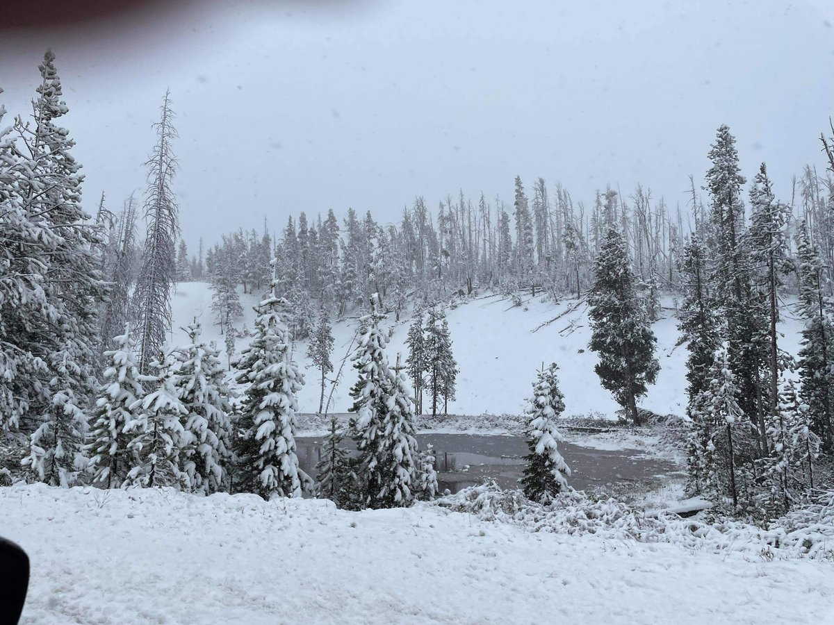 spann's tweet photo. West Yellowstone today… photos from Dan and Phyllis Britt https://t.co/jRtCvTfxPk