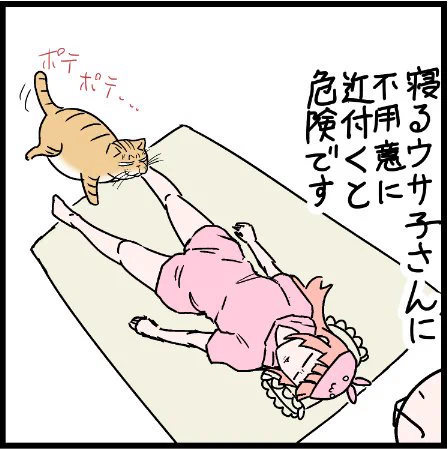 猫には家の中にも思わぬ危険が潜んでいるのです! #にゃんこ #まんが #マンガ #4コマ漫画 #四コマ漫画 #猫 #ねこ部 #ねこ #猫あるある #猫漫画 #ペット #飼い主 #ねこらぶ #エッセイ漫画 #みんねこ #キャット #ねこのいる生活 #猫ばか #にゃんだふるらいふ 